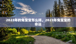 2023年的兔宝宝怎么样，2023年兔宝宝的命运