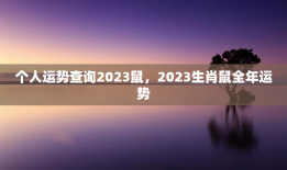 个人运势查询2023鼠，2023生肖鼠全年运势