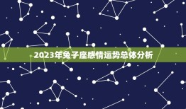 属兔今年感情婚姻如何(2023年兔子座爱情运势大介绍)