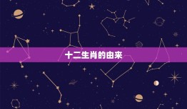 属相的6合属相是什么(介绍相生相克十二生肖的奥秘)