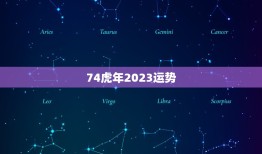 74虎年2023运势(猛虎崛起财运亨通)