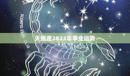 天蝎座2023年事业运势(展望稳步上升创新突破)