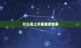 上升星座调查表怎么填(详解填写方法与注意事项)