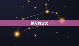 什么时候正缘才会出现(探寻真爱的时机)