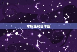 水瓶座跟哪个星座比较搭(星座配对指南)