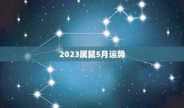 2023属鼠5月运势(财运亨通事业顺利)