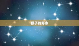 猴今年几岁了2023(猴年将至你知道猴的年龄吗)