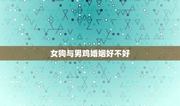 女狗与男鸡婚姻好不好(讨论道德、法律与社会的角度)