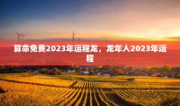 算命免费2023年运程龙，龙年人2023年运程