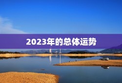 2023算命一年运势(介绍你的未来命运如何)