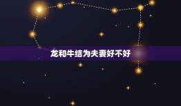 龙和牛结为夫妻好不好(讨论星座配对是否决定命运)