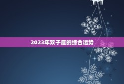 双子座2023运势查询(探寻未来预知命运)