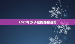 双子座2023运势查询(探寻未来预知命运)