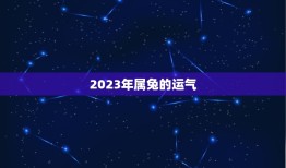 2023年属兔的运气(兔子们运势大好财运亨通)