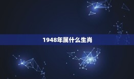 1948年属什么生肖(中国传统生肖中的鼠年)