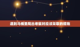 马桶里爬出老鼠怎么办(应对突发情况的正确方法)