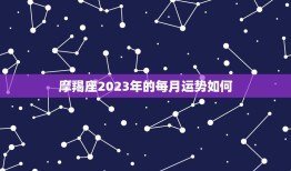 摩羯座2023年的每月运势如何(星象预测)