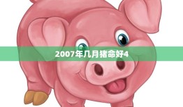 2007年几月猪命好4(猪年财运大揭秘)