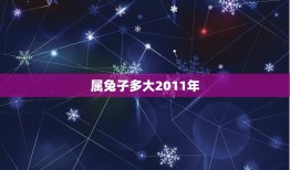 属兔子多大2011年(兔子人的命运与2011年的运势如何)