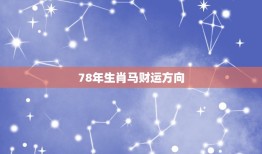 78年生肖马财运方向(如何把握财富机会)