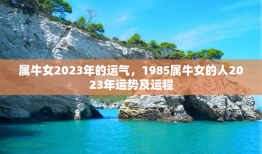 属牛女2023年的运气，1985属牛女的人2023年运势及运程