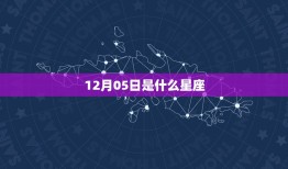 12月05日是什么星座(介绍12月05日出生的人属于哪个星座)