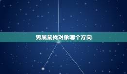 男属鼠找对象哪个方向(如何选择的恋爱方向)