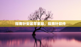 指南针安装苹果版，指南针软件