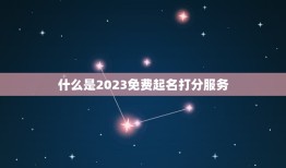 2023免费起名打分(专业起名让宝宝名字更有灵气)