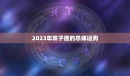 双子座星座运势2023(展望机遇与挑战并存)