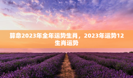 算命2023年全年运势生肖，2023年运势12生肖运势