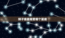 狮子座最宠爱哪个星座(介绍狮子座的星座是谁)