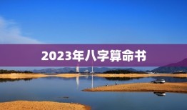 2023年八字算命书(介绍未来命运)