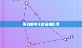 属狗的今年财运如何呢(介绍2023年狗年财运趋势)