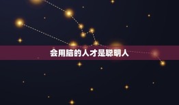 会用脑的人才是聪明人(介绍智商与思维的关系)