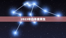 2023年白羊座男生(热情奔放的新时代先锋)