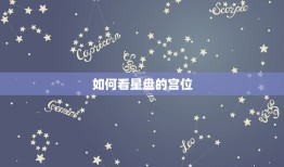 怎么看星盘的宫位星座(解读你的命运图谱)