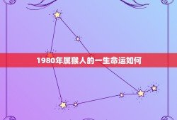 1980年属猴人的一生命运如何(介绍幸运与挑战并存)