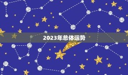 2023流年运势测算(介绍你的未来发展趋势)