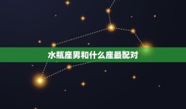 水瓶座男和什么座最配对(星座配对大介绍)