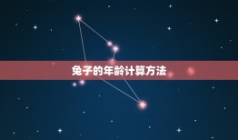 兔子属兔的今年多大了(介绍兔子的年龄计算方法)