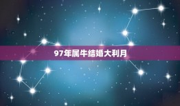 97年属牛结婚大利月(幸福婚礼的黄金时期)