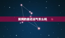 属狗的最近运气怎么样(介绍幸运还是不顺)