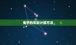 2023兔子今年多大(介绍兔子的年龄计算方法)