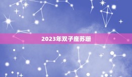 2023年双子座苏珊(预测未来三年你将迎来哪些变化)