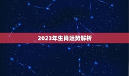 2023年生肖运势介绍(十二生肖运势大介绍)