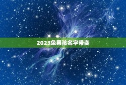 2023兔男孩名字带奕(寻找带有奕字的独特男孩名)