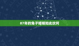 87年的兔子婚姻如此坎坷(讨论婚姻中常见的问题及解决方法)