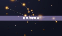 可以虐水瓶的星座(究竟是哪个)