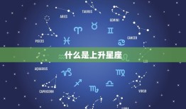 星座星盘查询上升星座(如何解读你的人生命运)